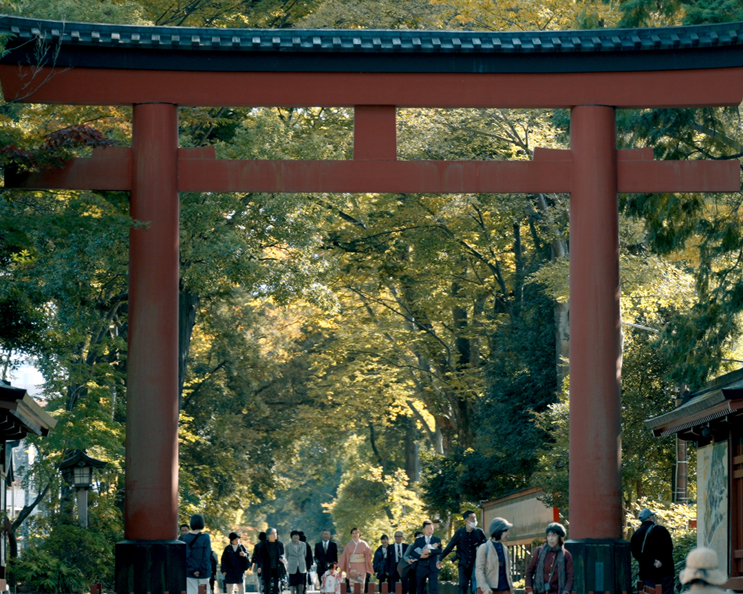武蔵一宮氷川神社 氷川参道100年の森プロジェクト