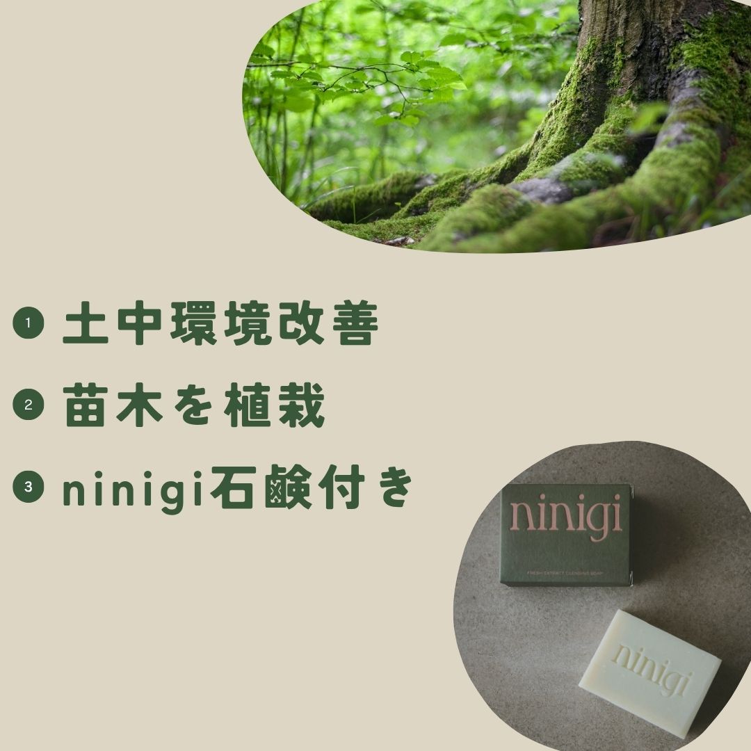 5万円ご寄付（苗木5本）