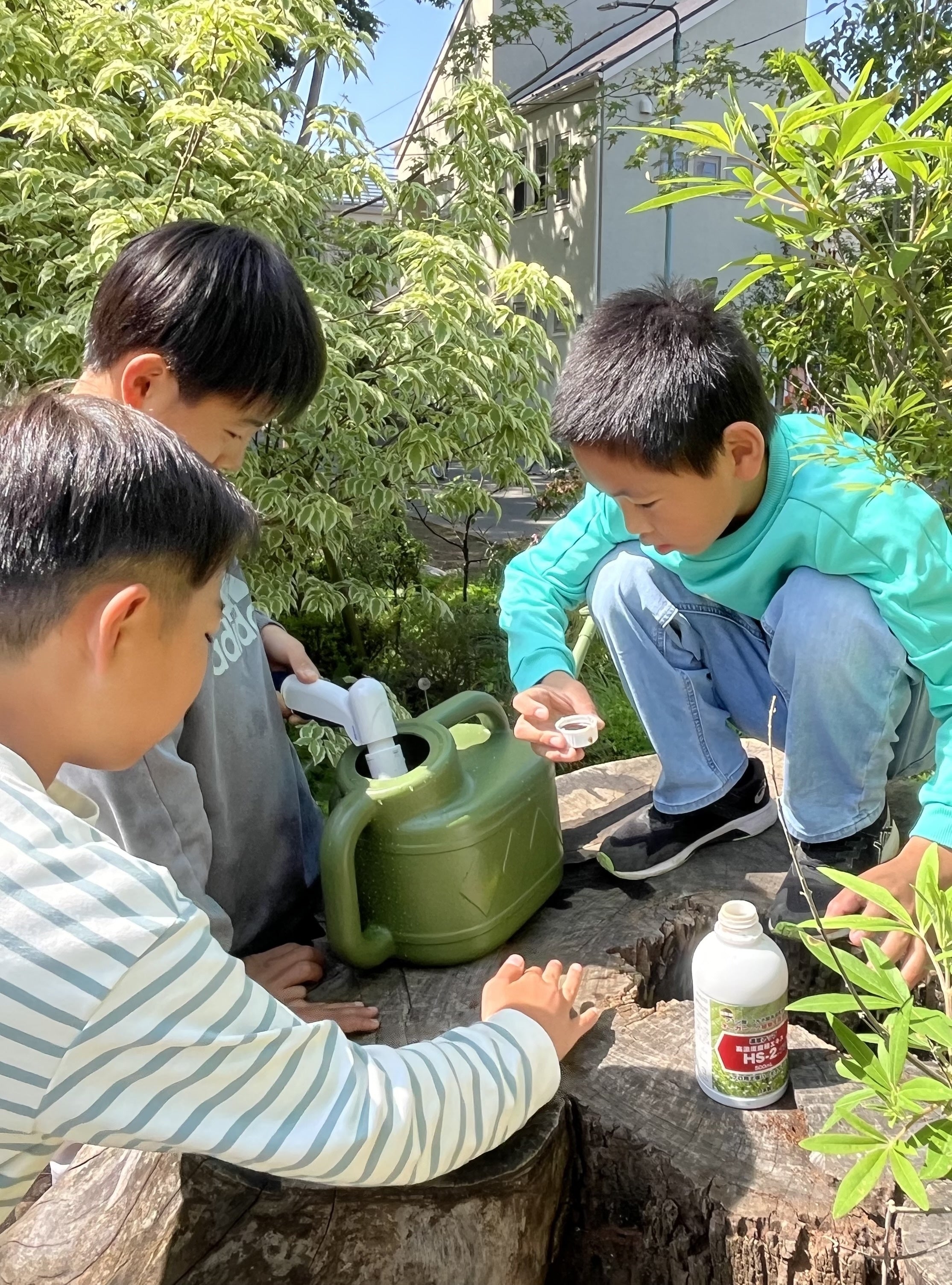 武蔵一宮氷川神社 土壌改良ボランティア